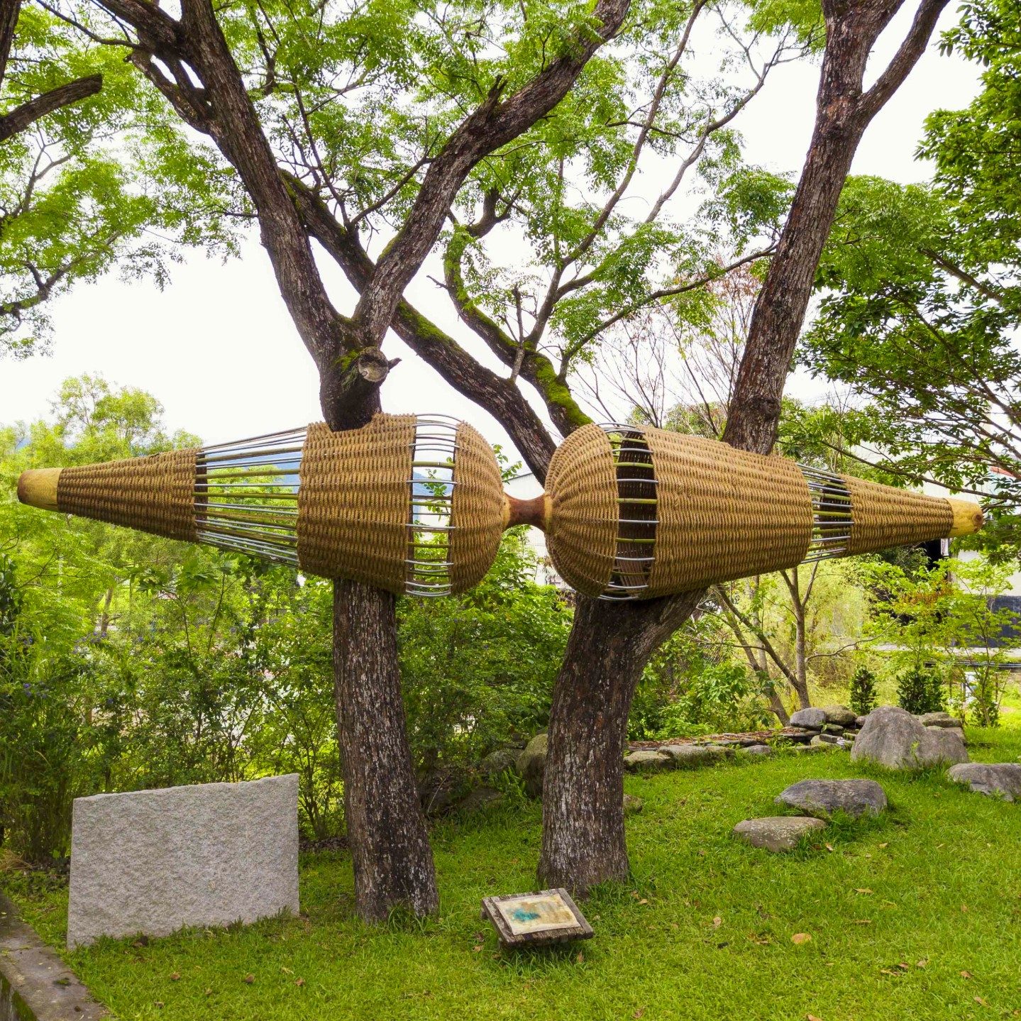 萬安國小Roger Rigorth《 重蛹The Double cocoon 》